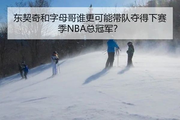 东契奇和字母哥谁更可能带队夺得下赛季NBA总冠军？