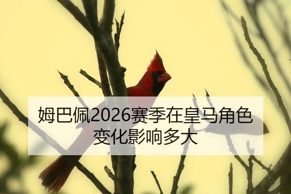 姆巴佩2026赛季在皇马角色变化影响多大