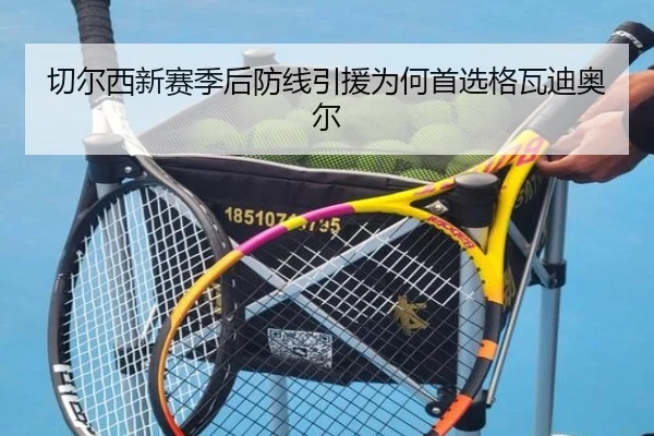 切尔西新赛季后防线引援为何首选格瓦迪奥尔