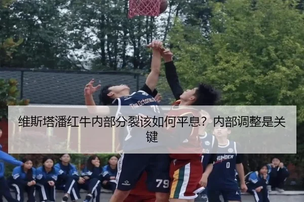 维斯塔潘红牛内部分裂该如何平息？内部调整是关键